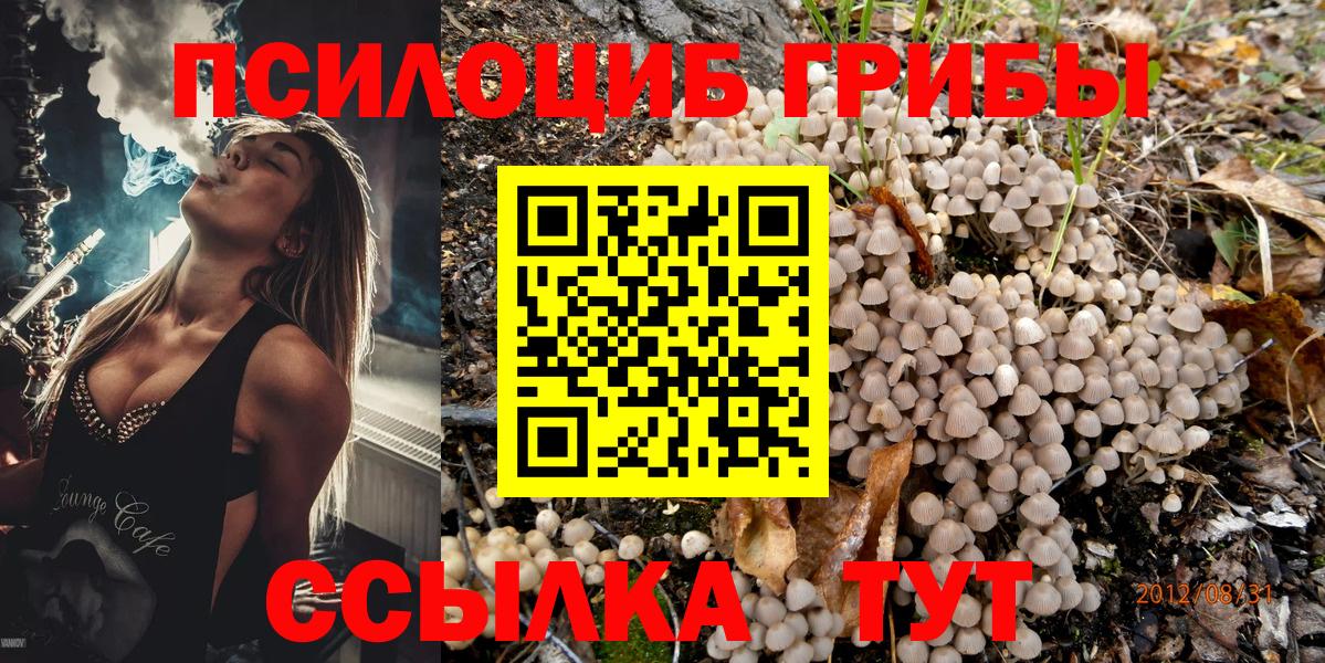 Псилоцибиновые грибы прущие грибы Михайловка