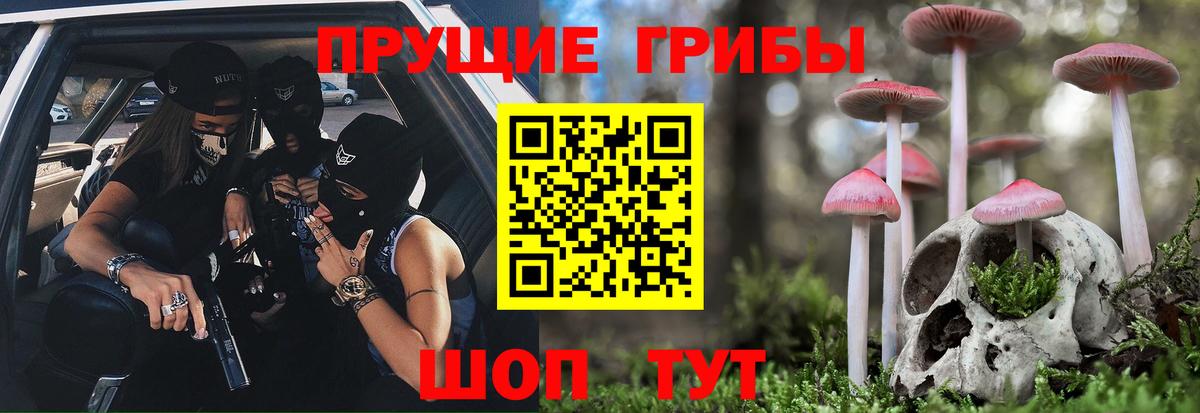 Михайловка  Галлюциногенные грибы ЛСД  купить наркотик  Вход с VPN 