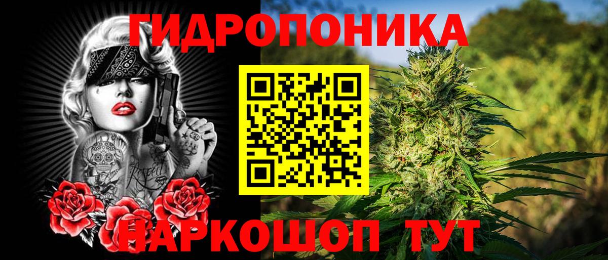 Бошки Шишки семена Михайловка